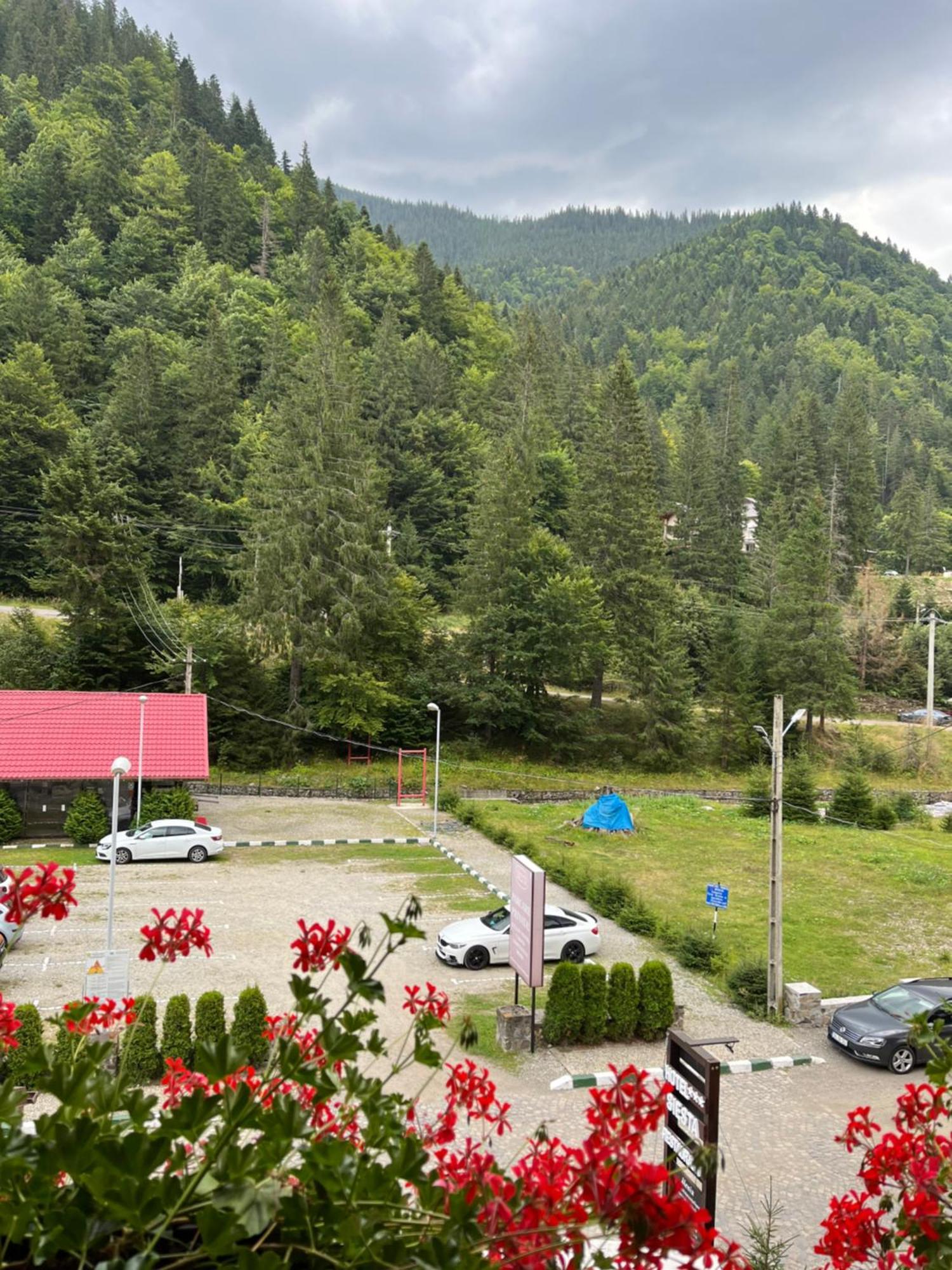 Hotel-Restaurant Siesta Balea Cumpăna Zewnętrze zdjęcie