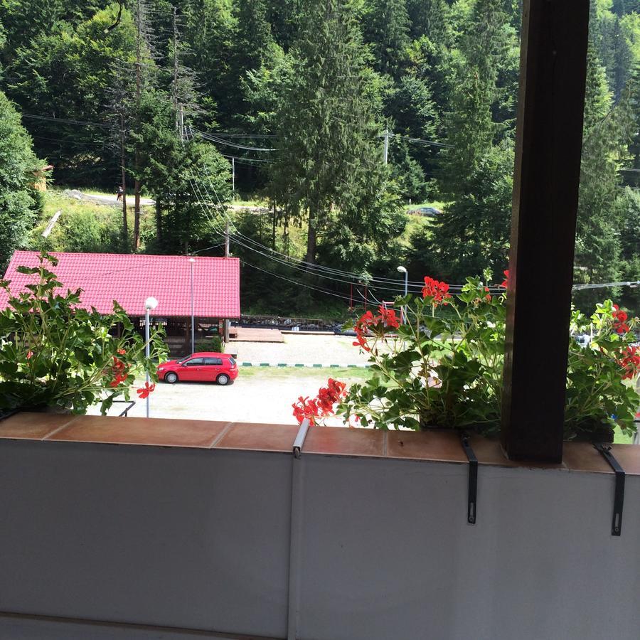 Hotel-Restaurant Siesta Balea Cumpăna Zewnętrze zdjęcie